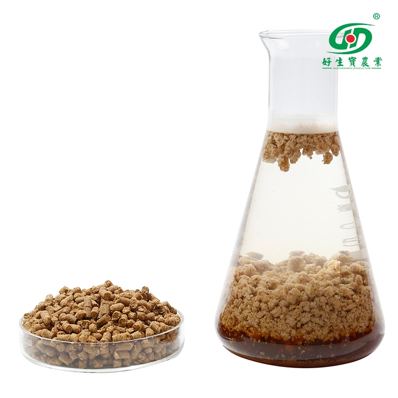 Agricultural Soil Conditioner Granular Compound NPK Fertilizer 15-5-10 with 20kg 40kg Bag Price