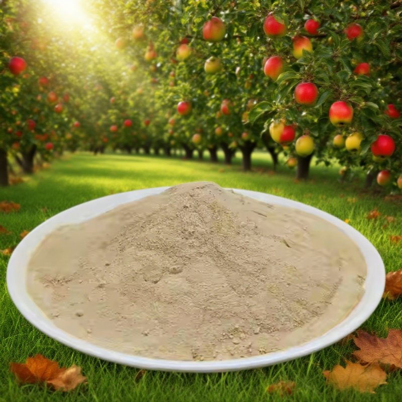 Organic Fertilizer Powder Acidic Amino Acid-Based Companion for Green Thumbs