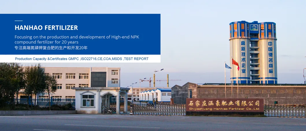 NPK Fertilizer Overview