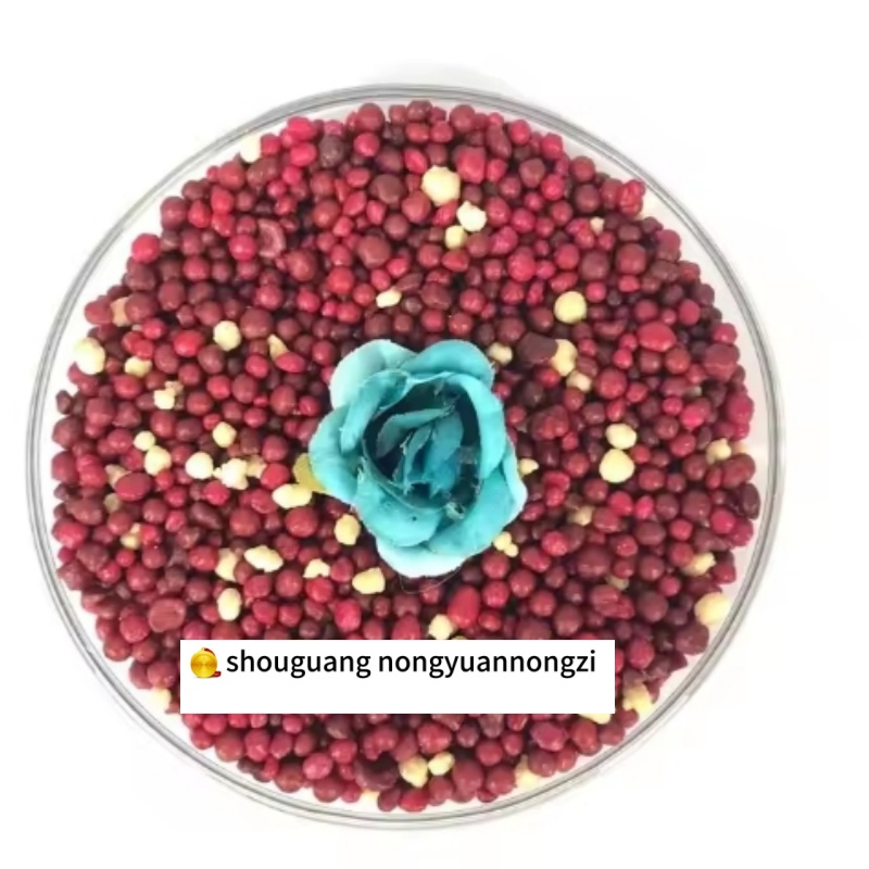 NPK Granular Fertilizer Factory Direct Sales Customize Proportion