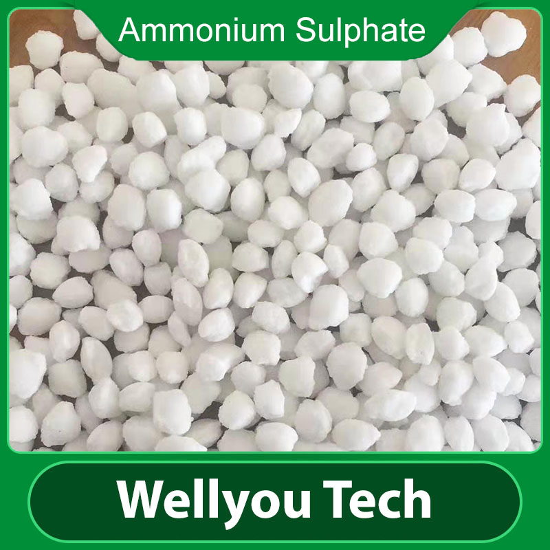 Ammonium Sulphate Granular Fertilizer NPK21-0-0 Nitrogen Fertilizer
