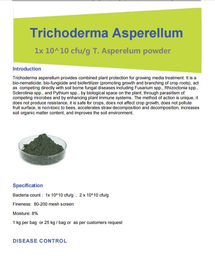 Effective Microorganism Fertilizer - Trichoderma Asperellum - High Content Microspore Anti Soil Diseases