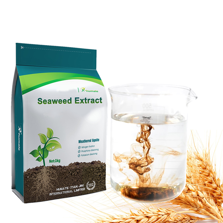 X- Humate Seaweed Extrtract Solid Fertilizer Agriculture