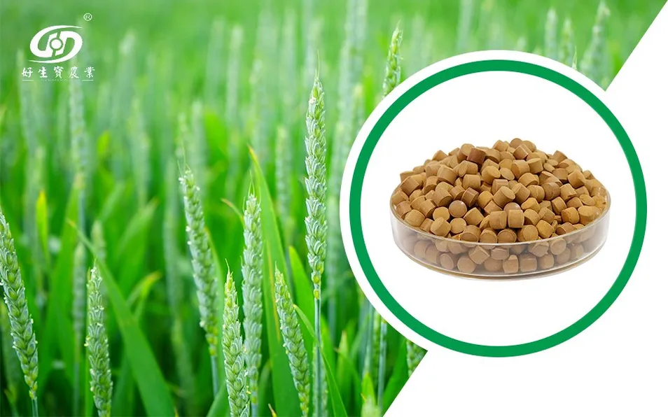 Product Advantage Image