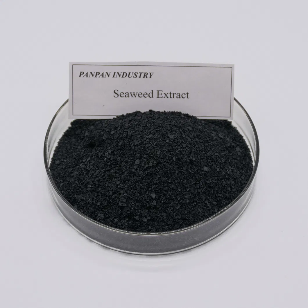 Seaweed Extract Liquid
