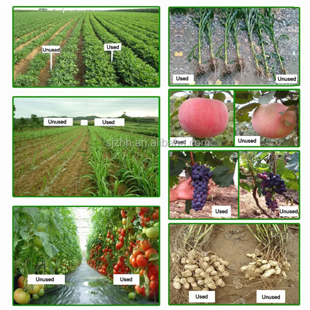 Slow Release NPK Compost Compound Fertilizer 23 10 5 +6s-1zn Supplier Maize