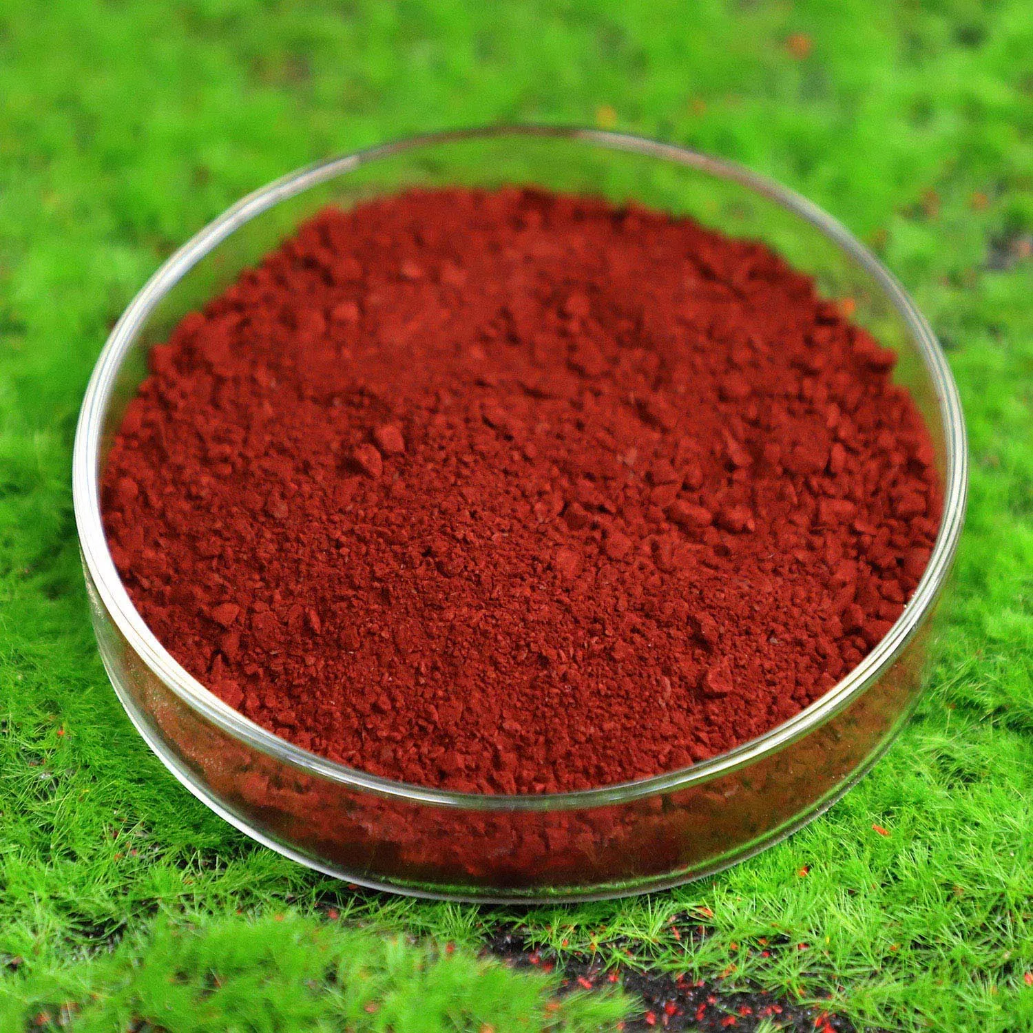 100% Water Soluble EDDHA Chelated Iron Fertilizer Granular with ISO 9001