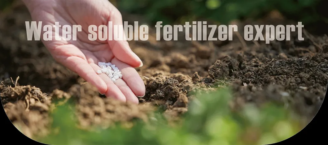 MAP 12-61-0 Fertilizer Detail