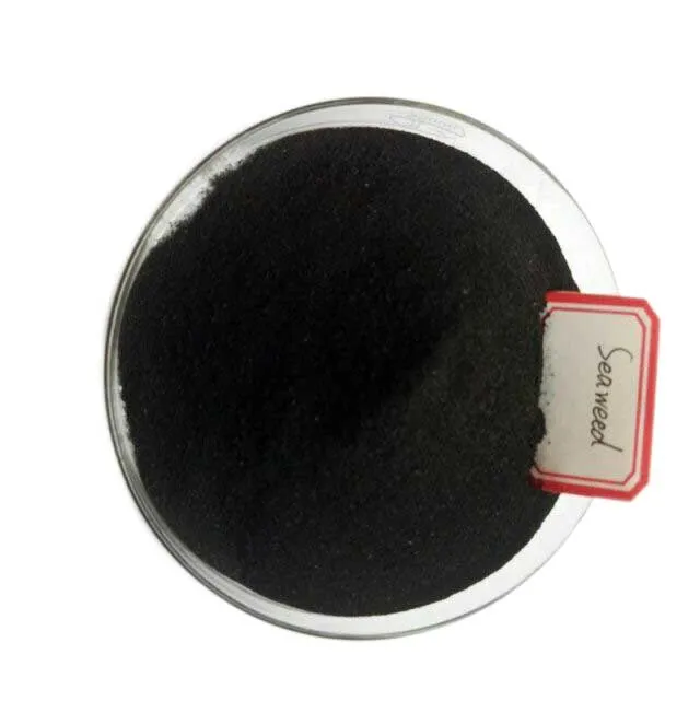 Seaweed Extract Powder