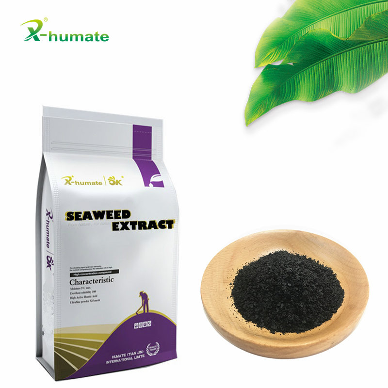 Biostimulant Seaweed Extract Fertilizer for Agriculture