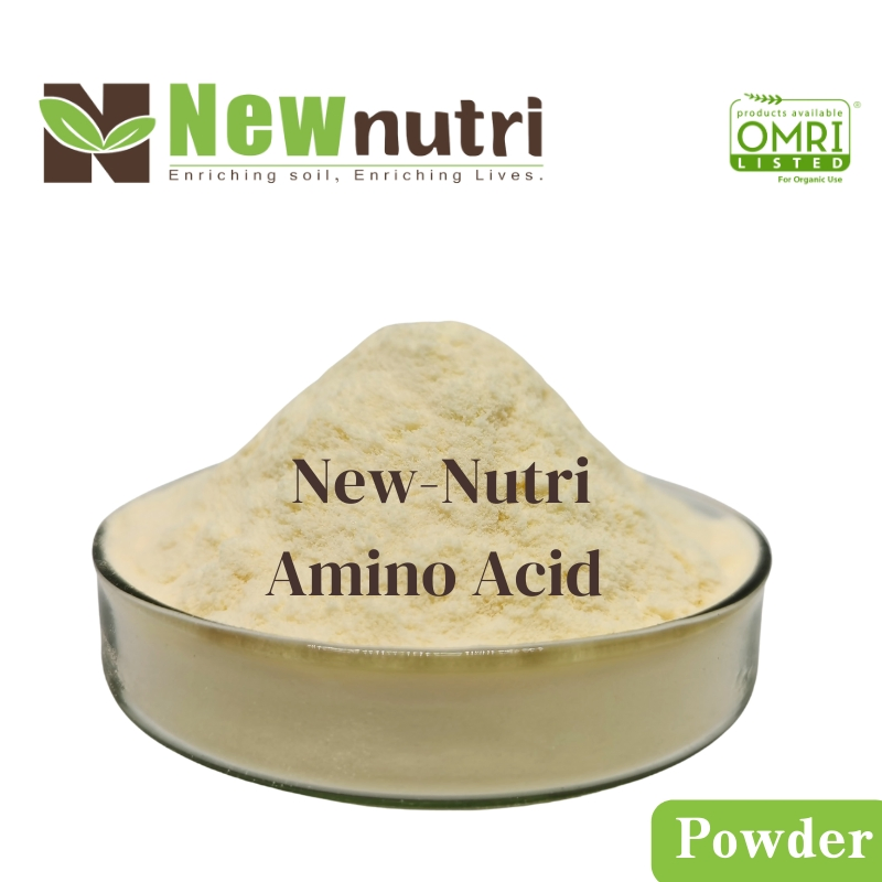 Amino Acid Organic Fertilizer for Crop Growth and Soil Improvement