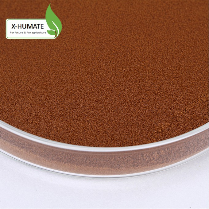 X-Humate Factory Supply Organic Fertilizer Fulvic Acid Humic Acid