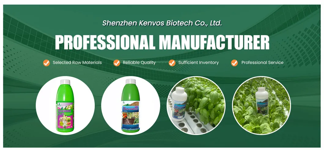 Seaweed Extract Fertilizer Banner