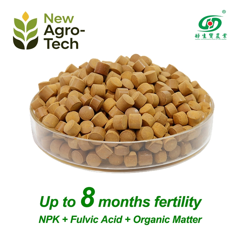 Factory Price NPK 15-5-10 4-0-40 6-0-10 Fulvic Acid Water Soluble Fertilizer for Agriculture