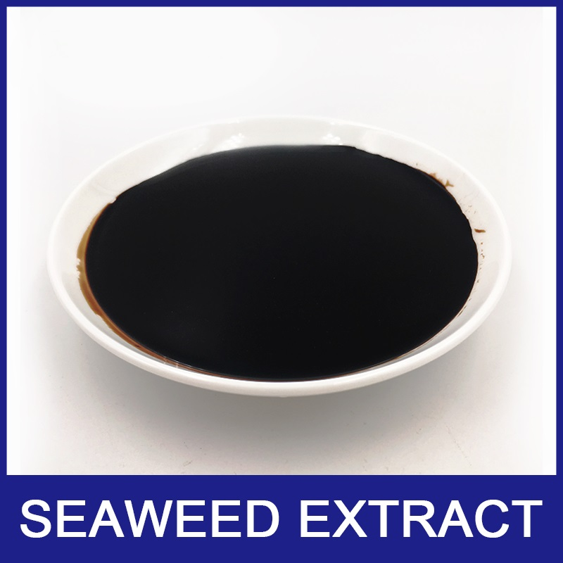 Biostimulant Seaweed Extract Fertilizer for Agriculture