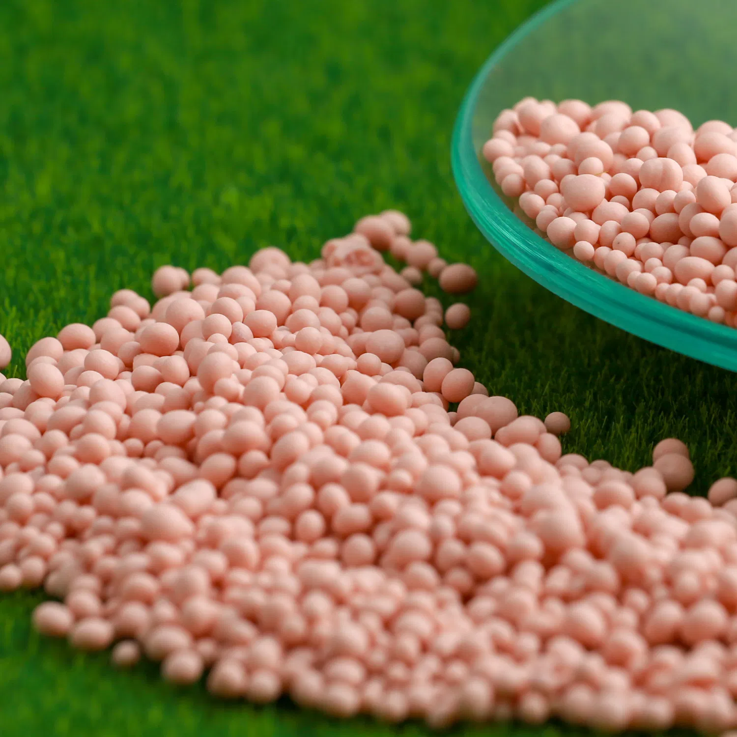 NPK Fertilizer 16-16-16 Granular – Balanced Compound Fertilizer for Plants &amp; Crops