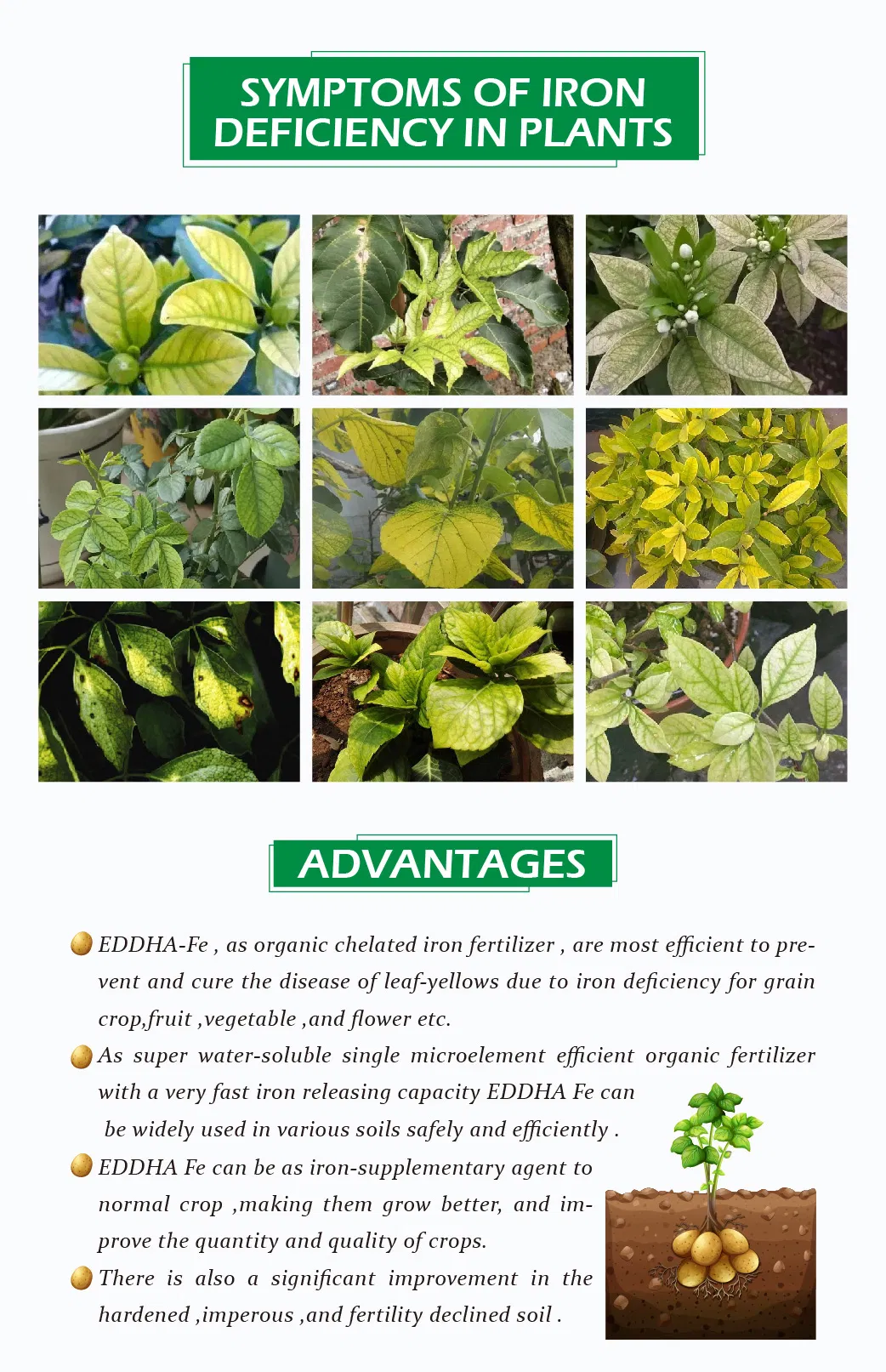 Fertilizer Application