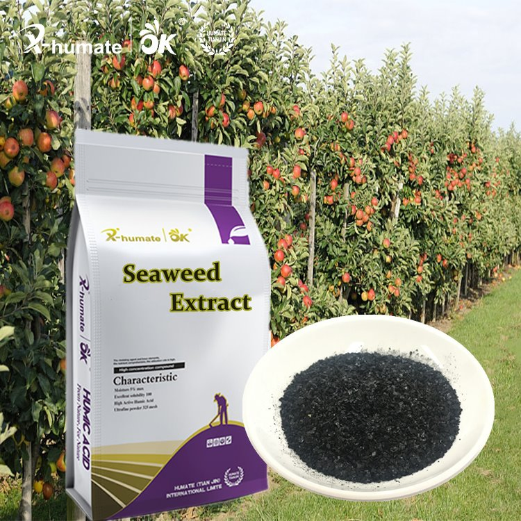 X- Humate Seaweed Extrtract Solid Fertilizer Agriculture