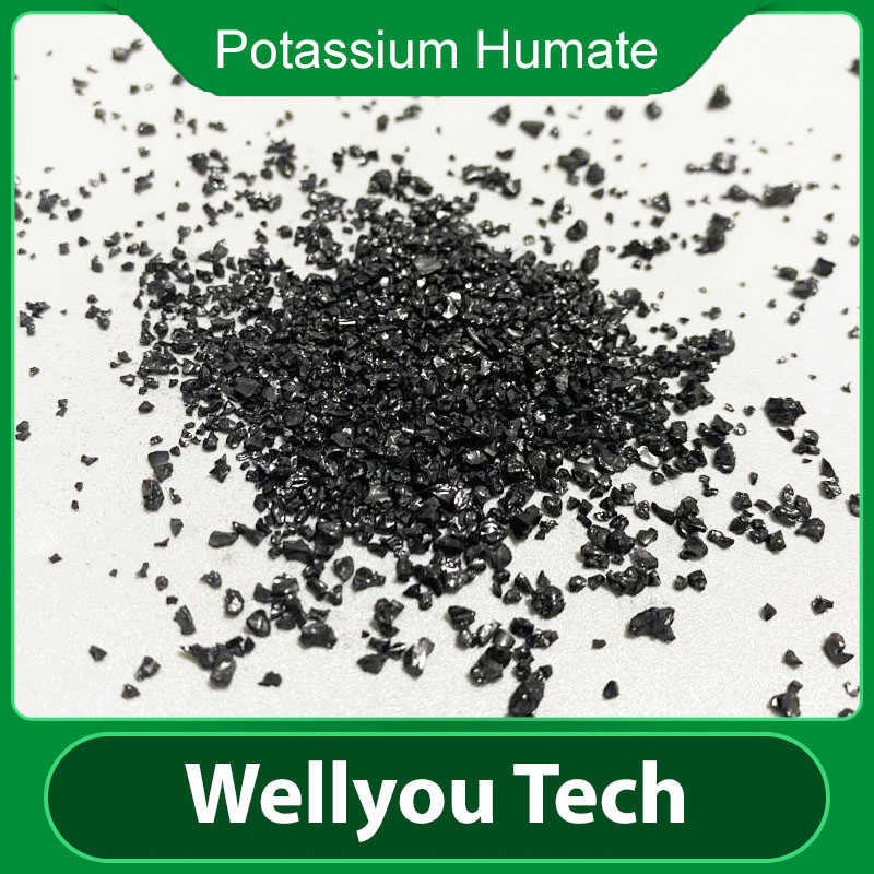 Leonardite Source Potassium Fulvate, Organic Fertilizer