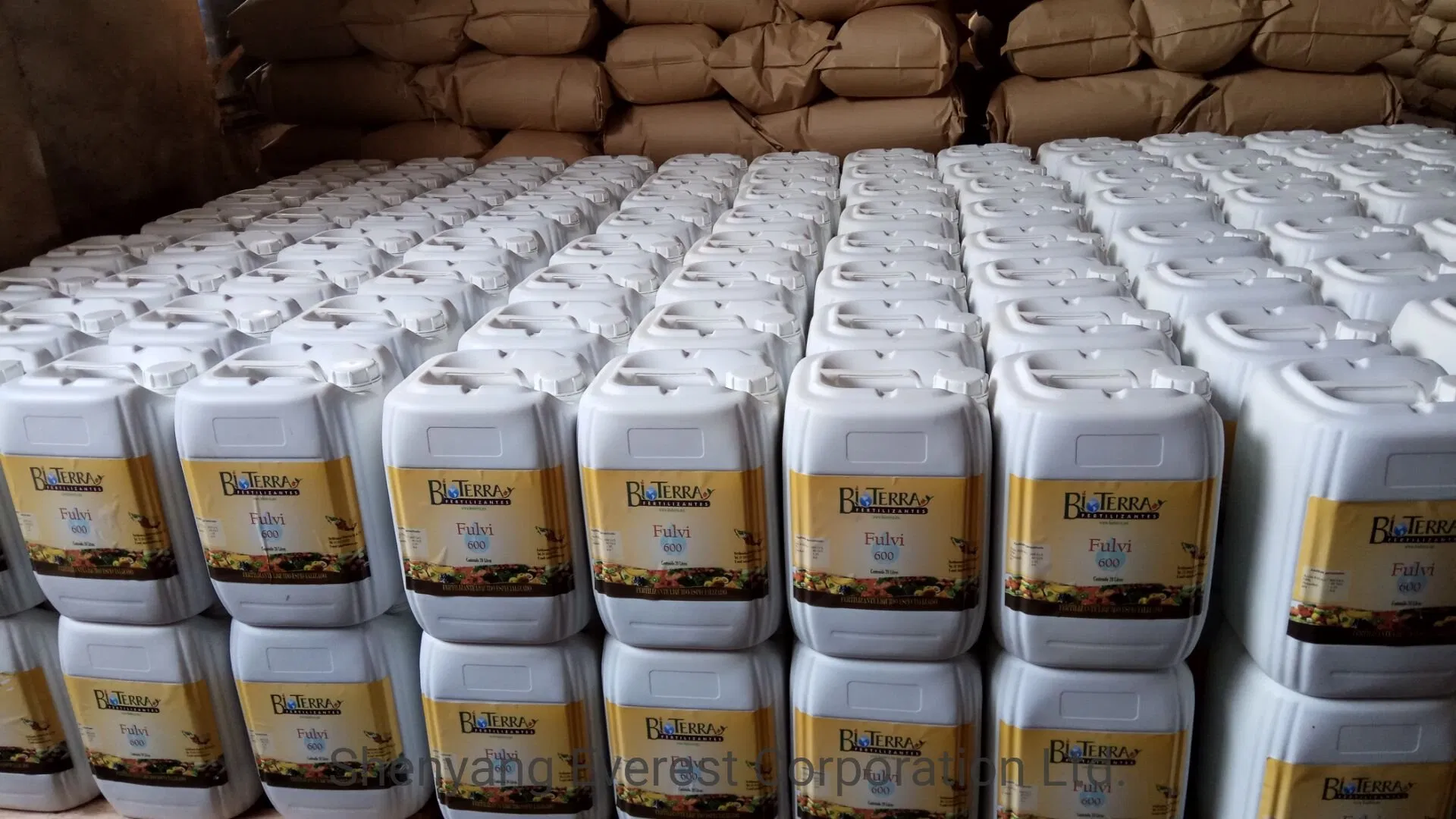 Pure Ascophyllum Nodosum Extract Soluble Seaweed Extract Fertilizer for Agriculture