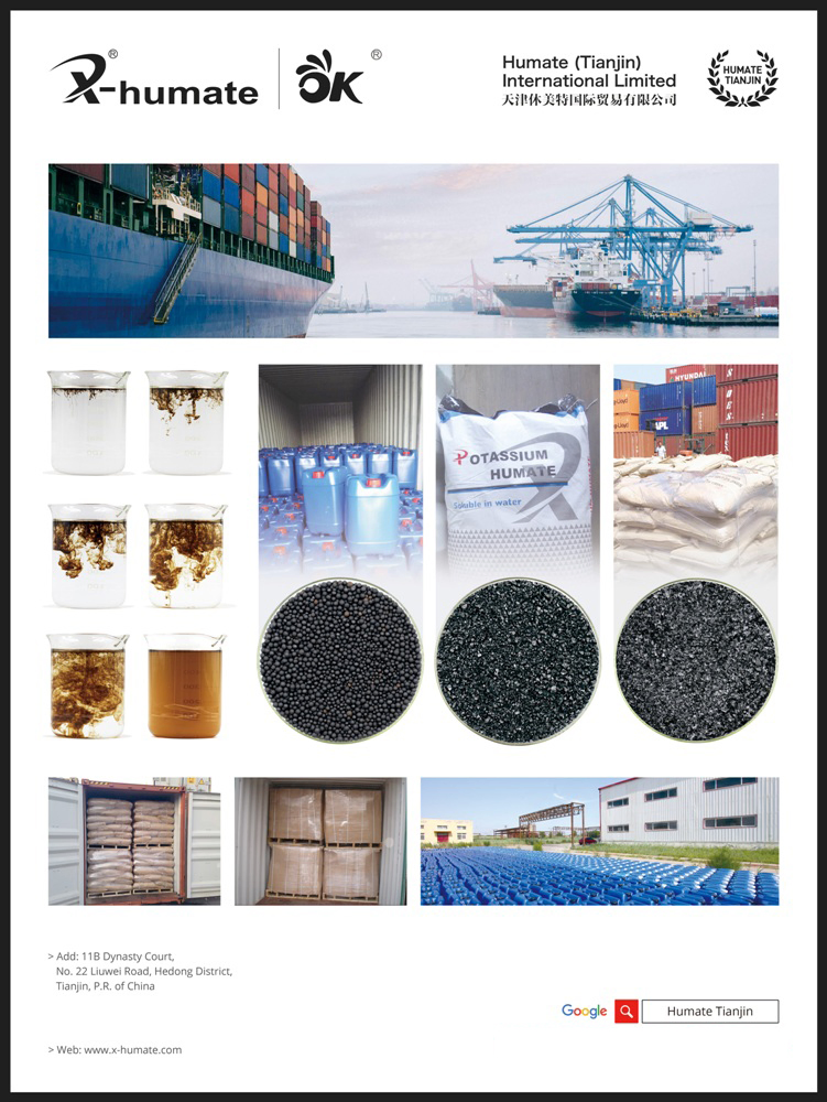 Soluble Humic Acid Fertilizer