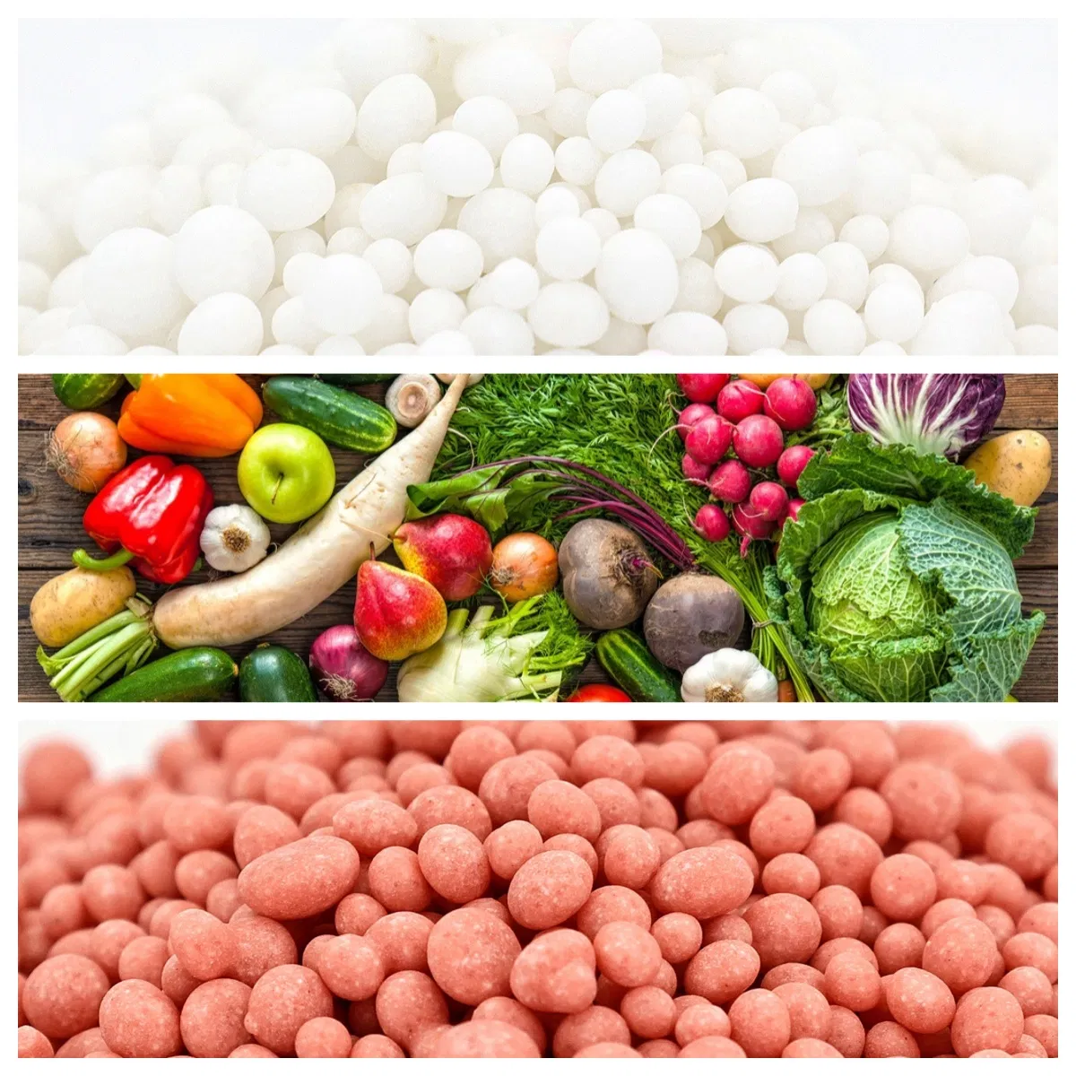 Nitrogen Phosphorus and Potassium Compound NPK Fertilizer 18-8-24 China Factory Low Price