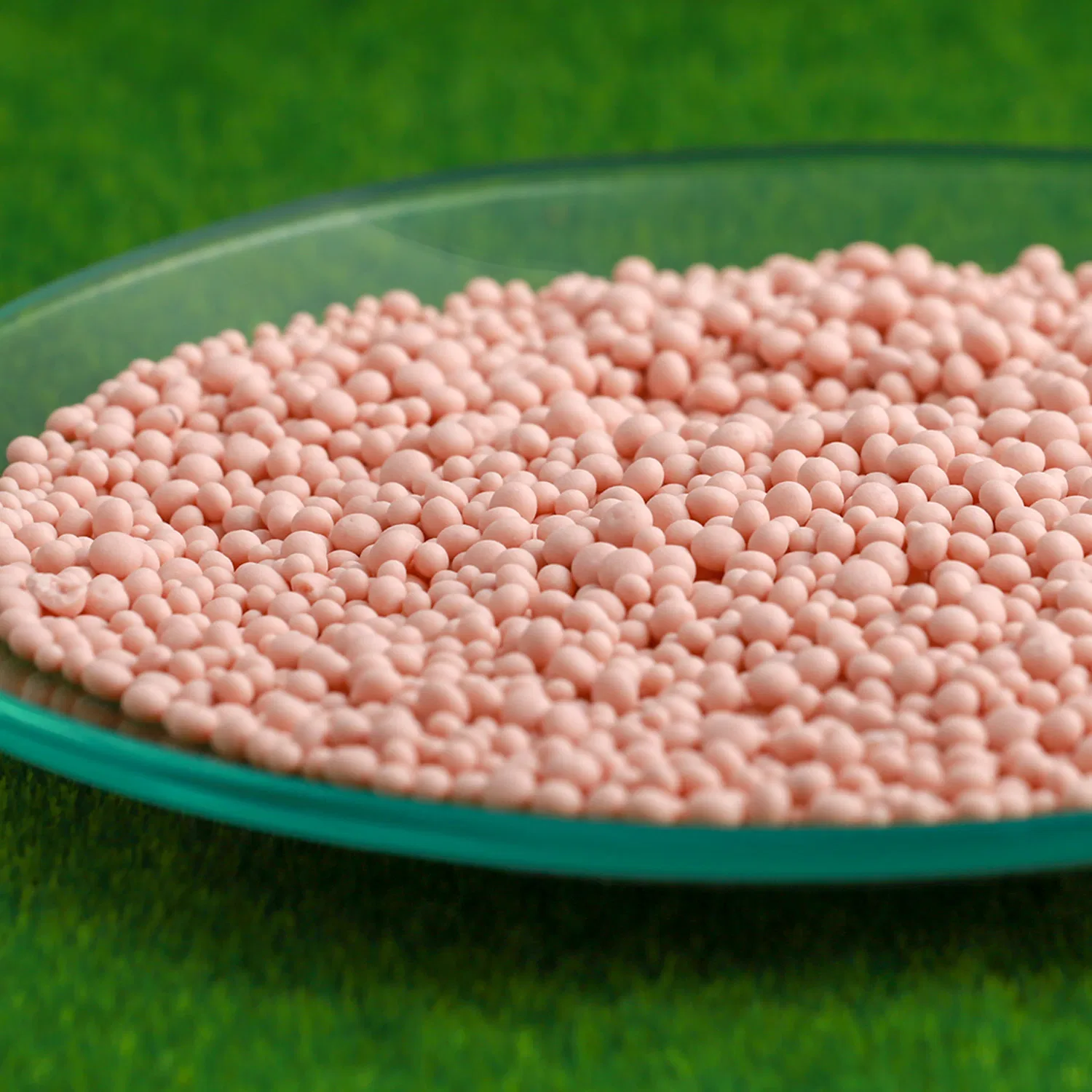 NPK Fertilizer 16-16-16 Granular – Balanced Compound Fertilizer for Plants &amp; Crops