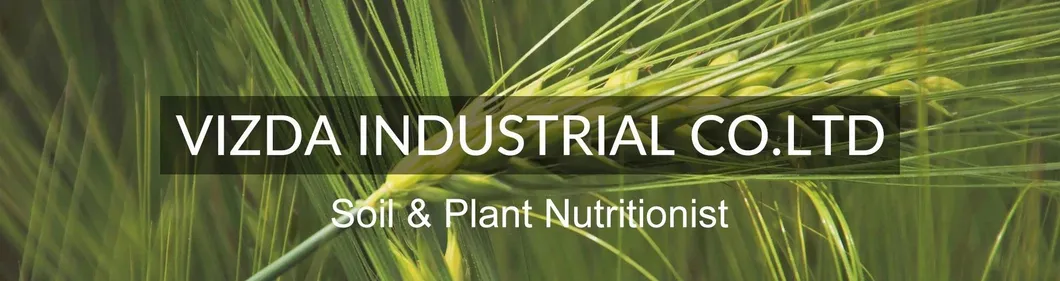 NPK Fertilizer Overview