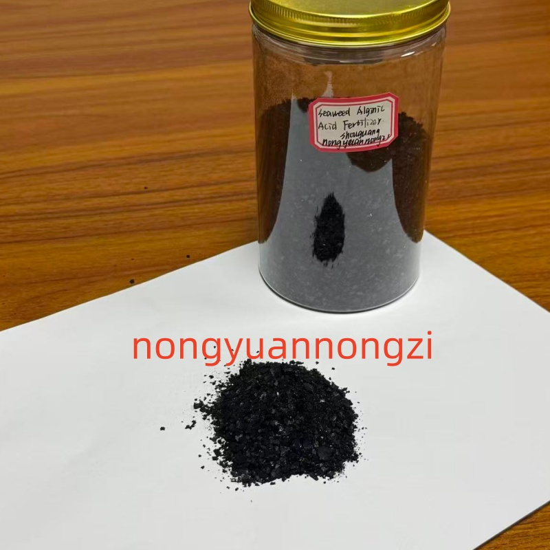 Samples Available 100% Water-Soluble Seaweed Extract Flake Fertilizer