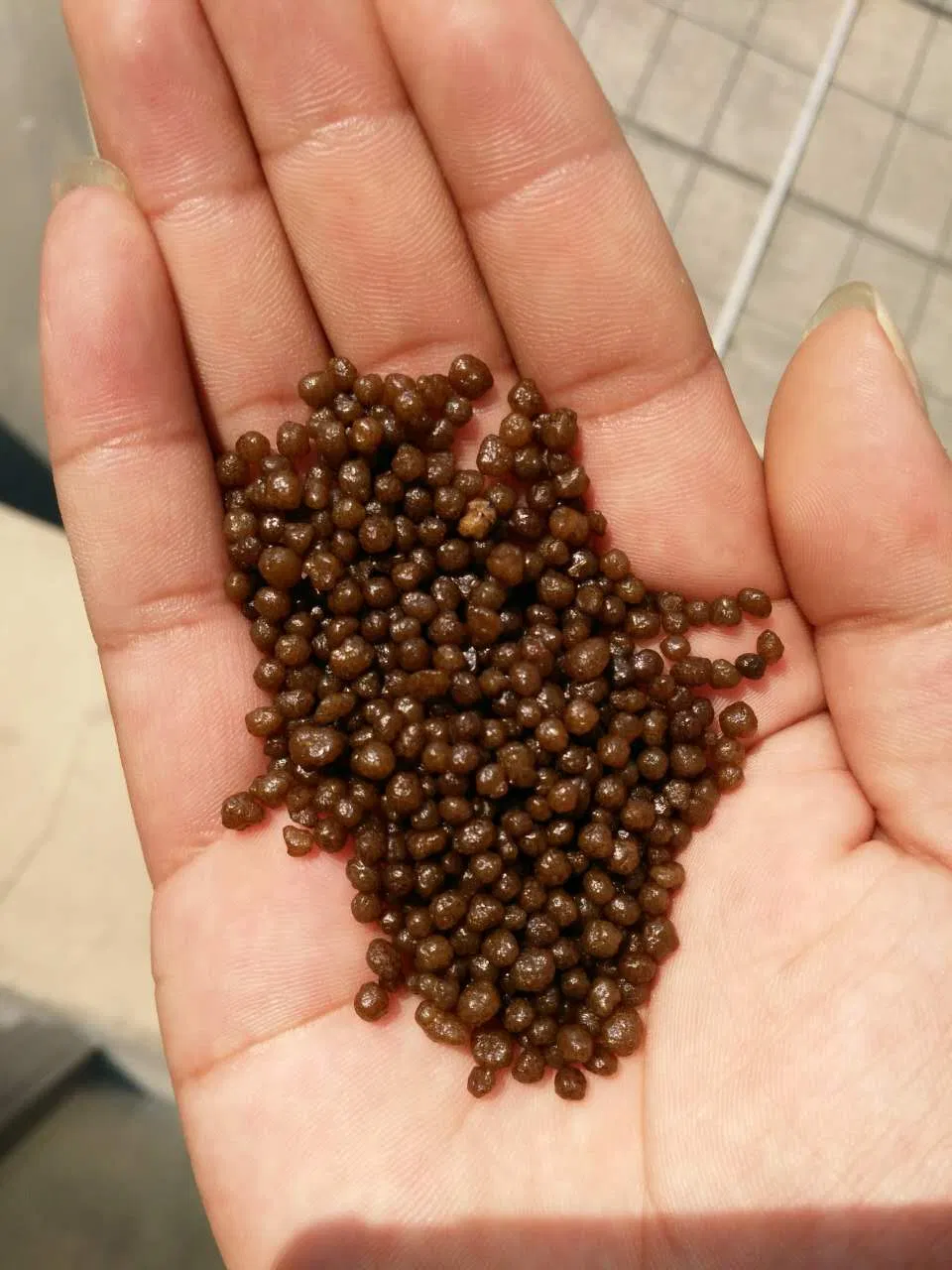 China Brown Granular Phosphorus DAP Fertilizer DAP