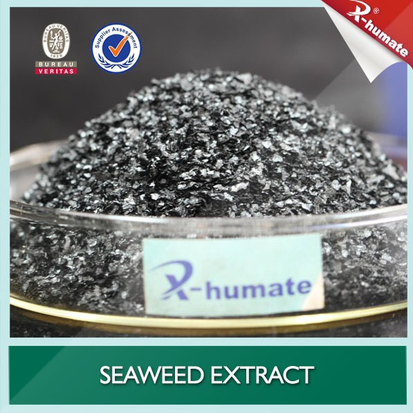 X- Humate Seaweed Extrtract Solid Fertilizer Agriculture