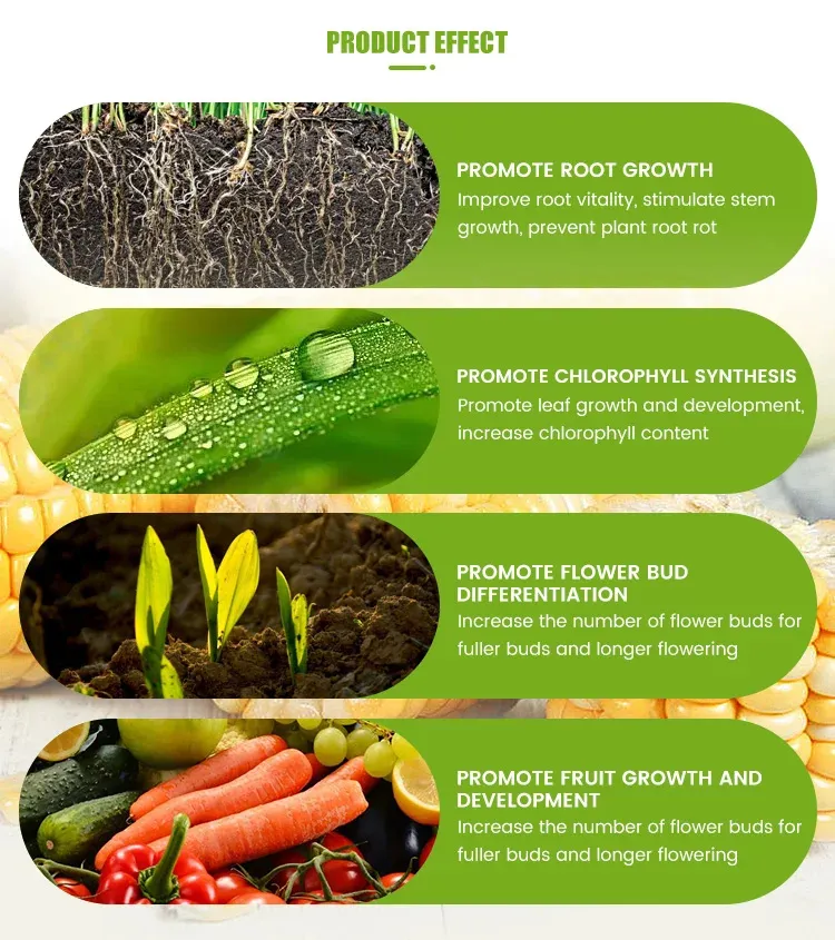 Fully Water-Soluble for Plant