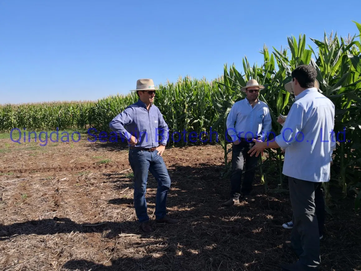 Seaweed Fertilizer Micro Graunlarplantharvest- Cereal Crop Fertilizer Together with Pesticides-Stress Resistance