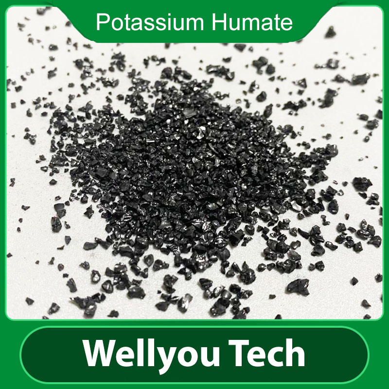 65% Humic Acid Fertilizer, Potassium Humate Organic Fertilizer