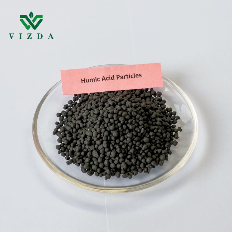 100% Soluble Humic Acid Fertilizer
