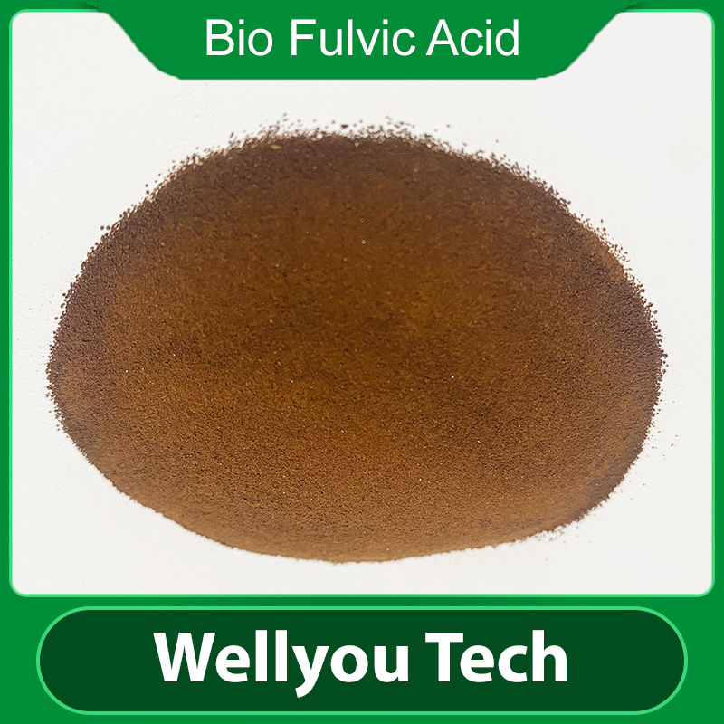 Organic Certificed Biostimulant Bio-Fulvic Acid Fertilizer From Wellyou Tech