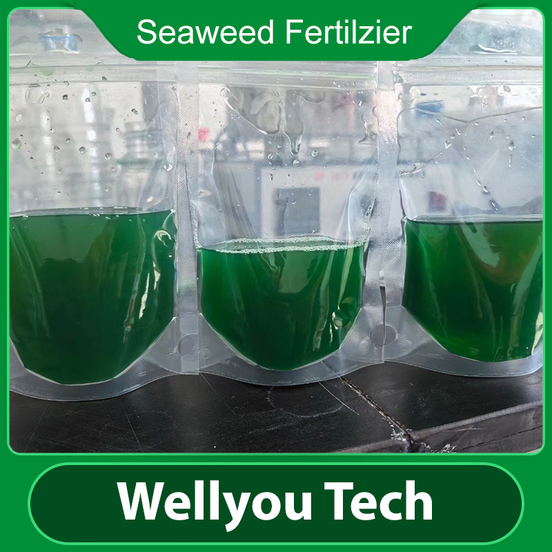 Organic Fertilizer Seaweed Extract Liquid, Foliar Fertilizer Wellyou Tech