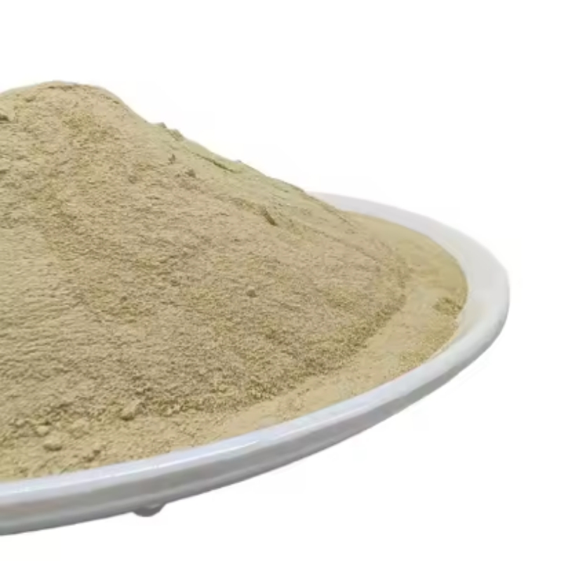 Organic Fertilizer Powder Acidic Amino Acid-Based Companion for Green Thumbs
