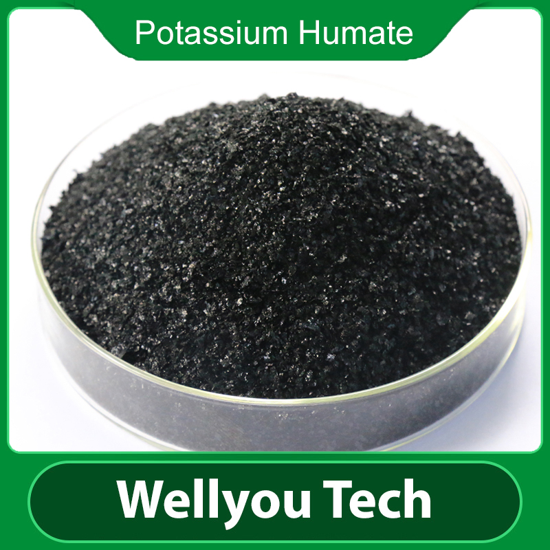 Leonardite Source Humic Acid/ Potassium Humate Organic Fertilizer Wellyou Tech
