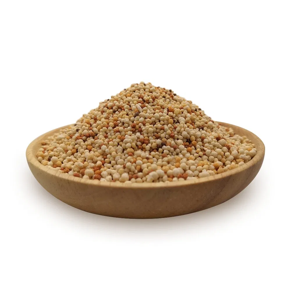 Lawn and Turf Slow Release Compound Fertilizer NPK8-12-18