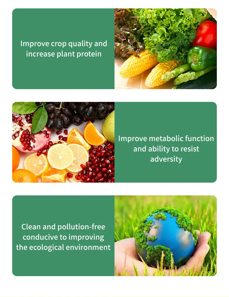 Amino Acid Fertilizer