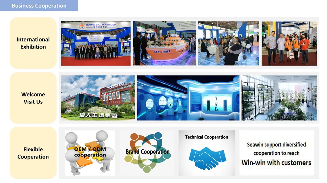 Root Promoter Root Organic Fertilizer