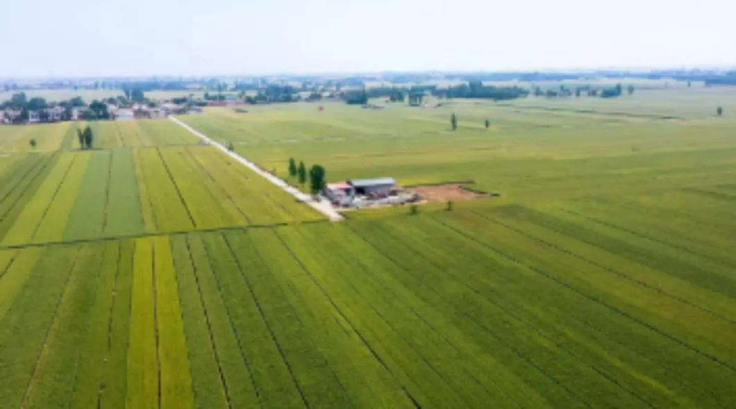 Absorption Efficiency