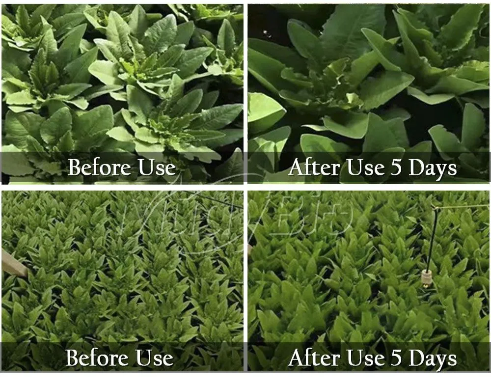 Application effects show