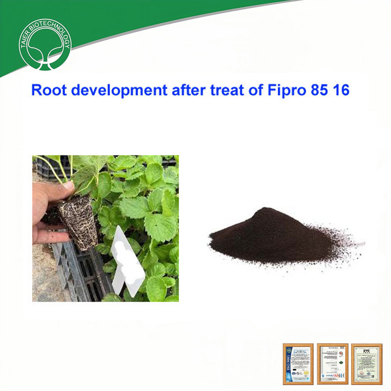 Amino Acid Plant Biostimulant Organic Fertilizer 25kg/Bag Enhances Soil Fertility Suitable for Palm Oil &amp; Fruit Plantations