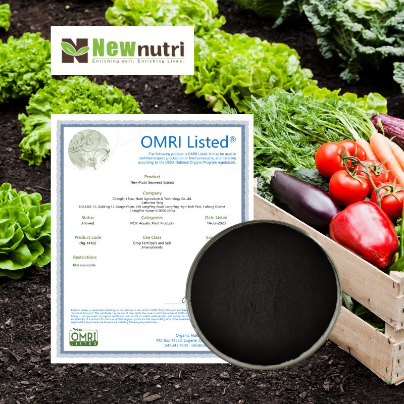 High-Purity Seaweed Extract Fertilizer for Crop Growth