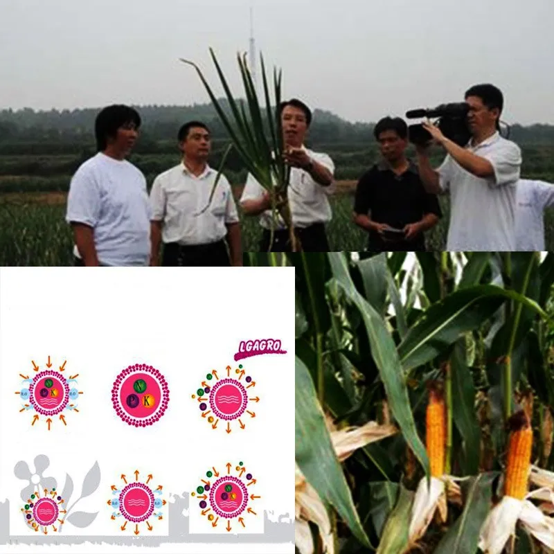 Slow Release Fertilizer