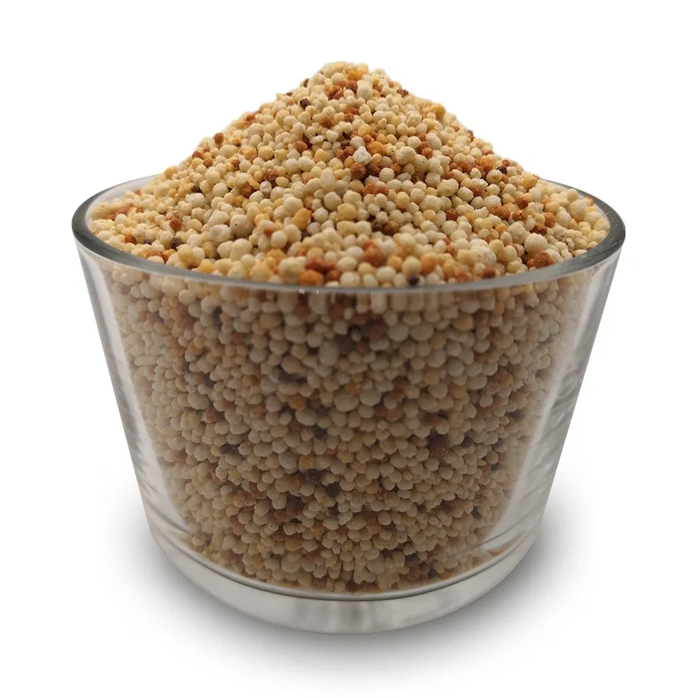 Lawn and Turf Slow Release Compound Fertilizer NPK8-12-18