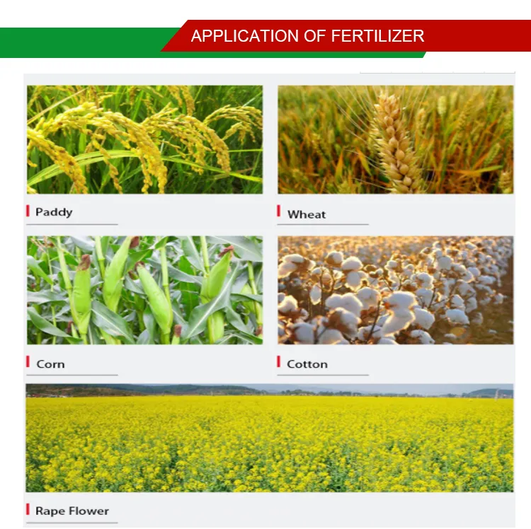 NPK Fertilizer