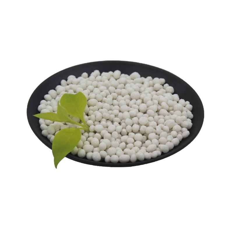 Slow Release Fertilizer NPK 30-5-5 High Nitrogen Fertilizer Factory Price